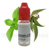 Eucalyptus & Mint Flavour Concentrate